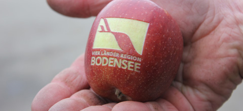 “edible messages” with laser technology in the peel of red apples