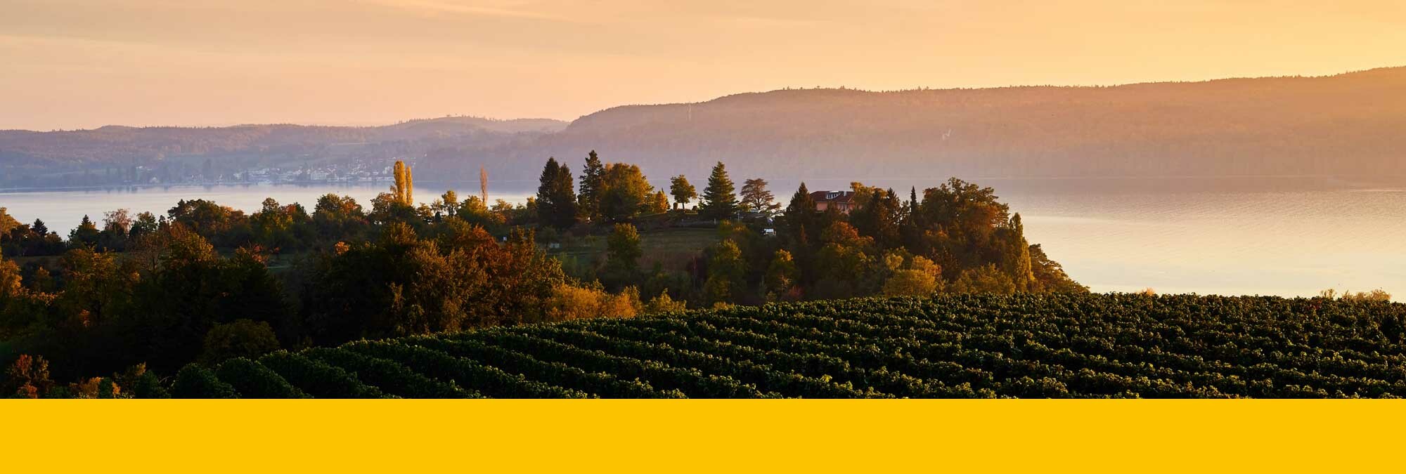 Die Vierländerregion Bodensee als Tourismusdestination. Der See, die Weinberge und die Berge.