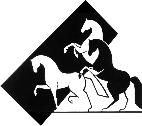 Logo-dressurunterricht-Steiger